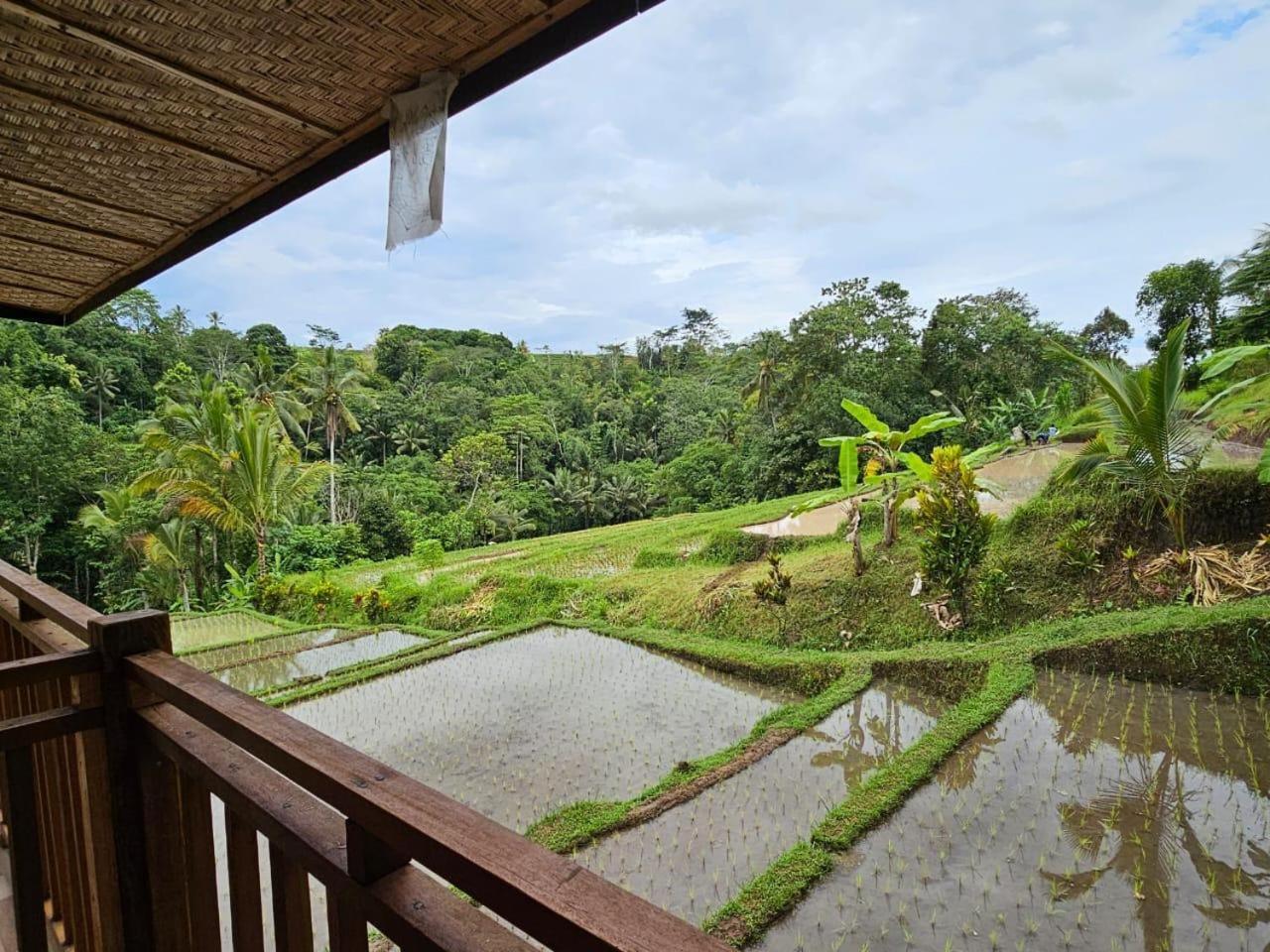 Selemadeg Umauthu Bali 빌라 외부 사진